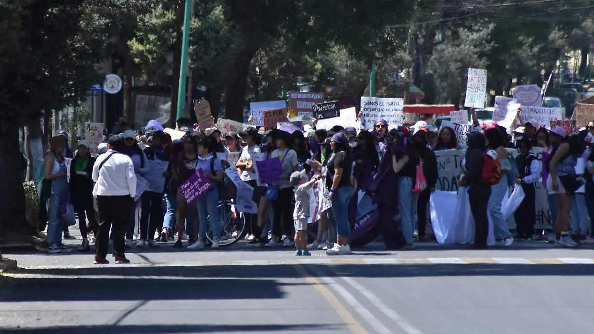 8m toluca