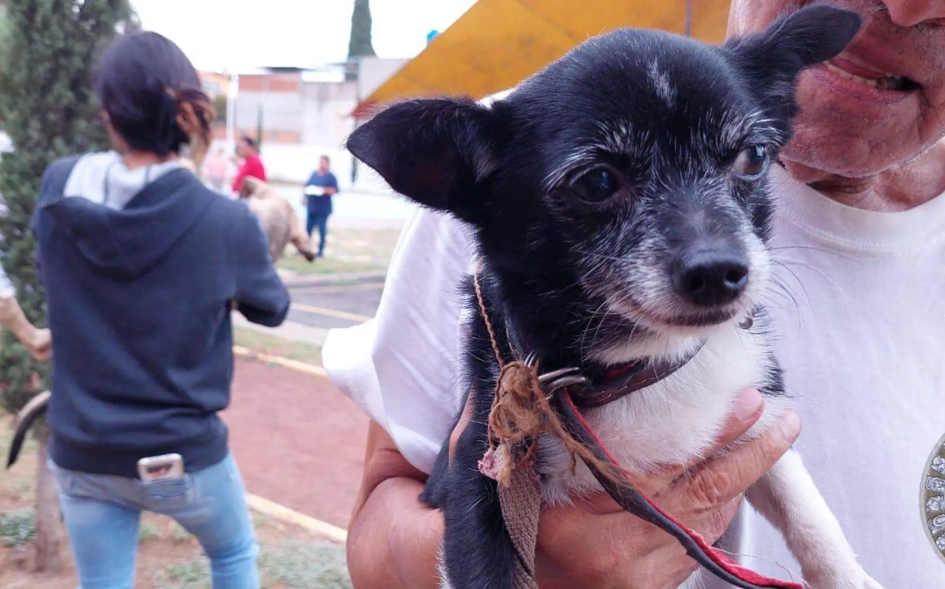 esterilizacion