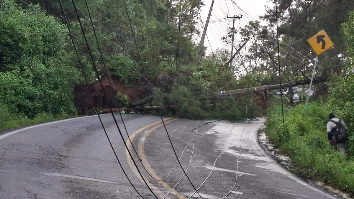 Image 2024-09-04 at 09.00.28 (1)