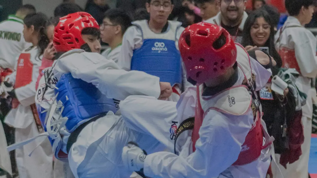 Taekwondo1