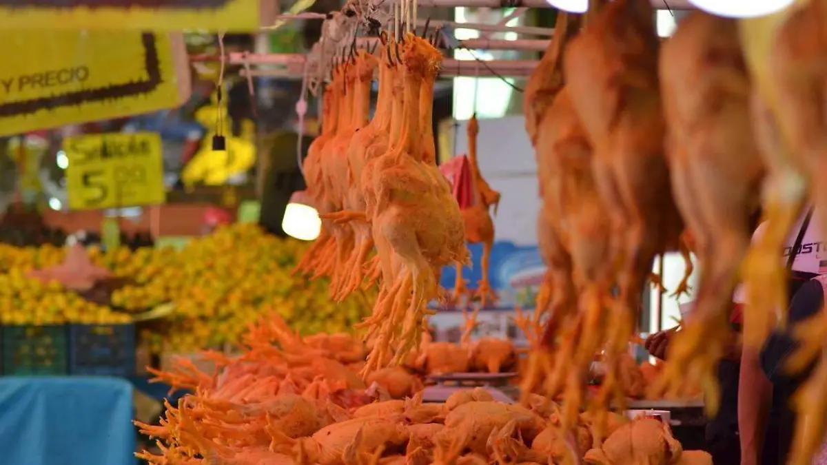 Pollo 2