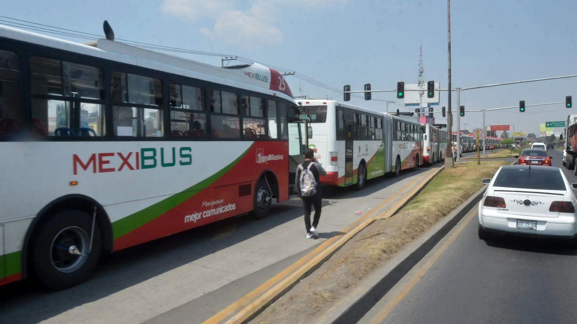 mexibus