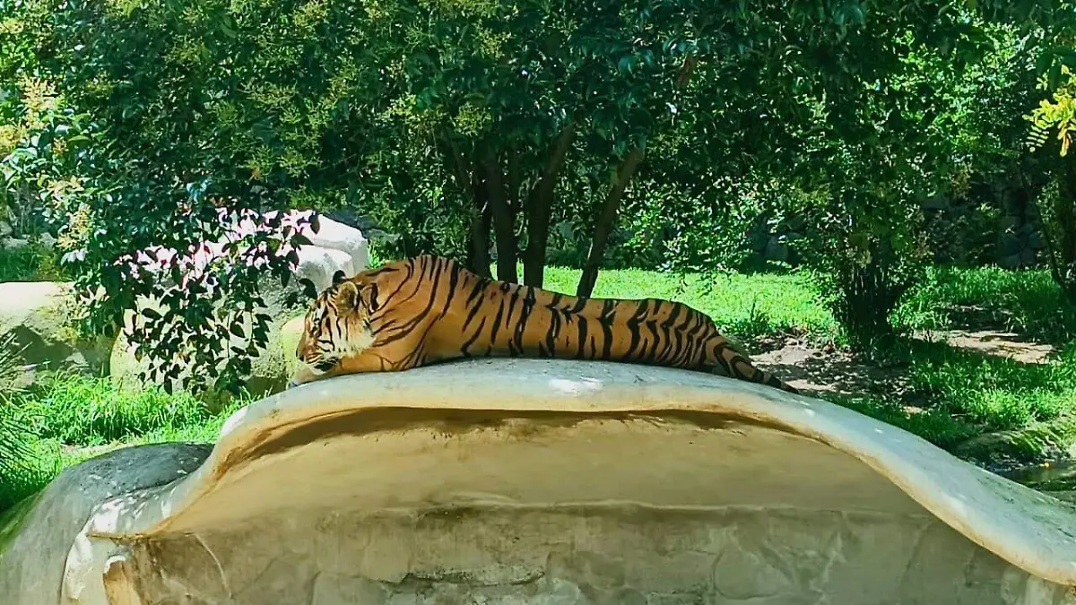 bea985e0-7505-4101-9a98-f31969e89769