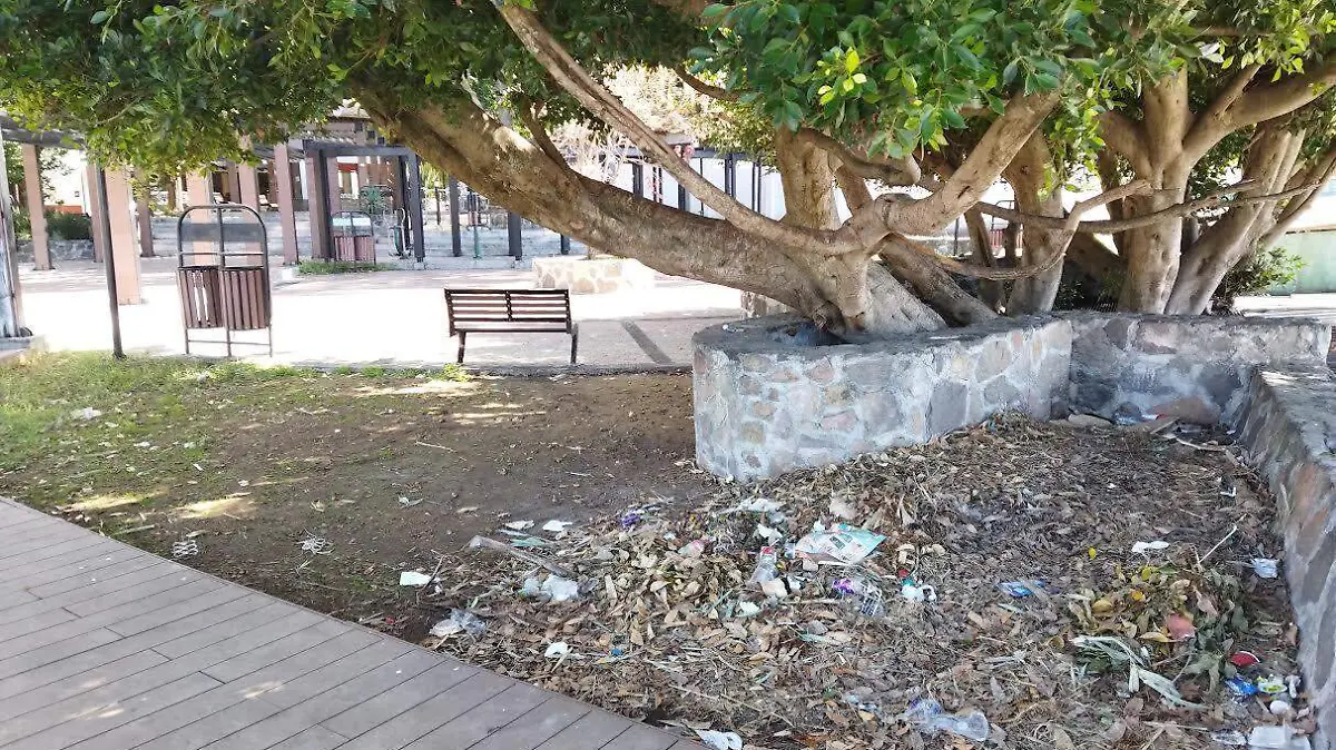 plaza basura valle de bravo