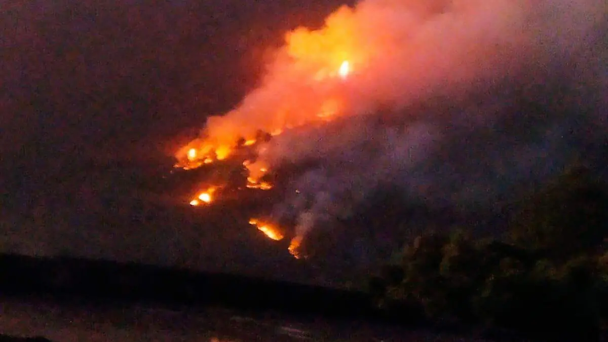 Image 2024-03-24 at 10.46.41