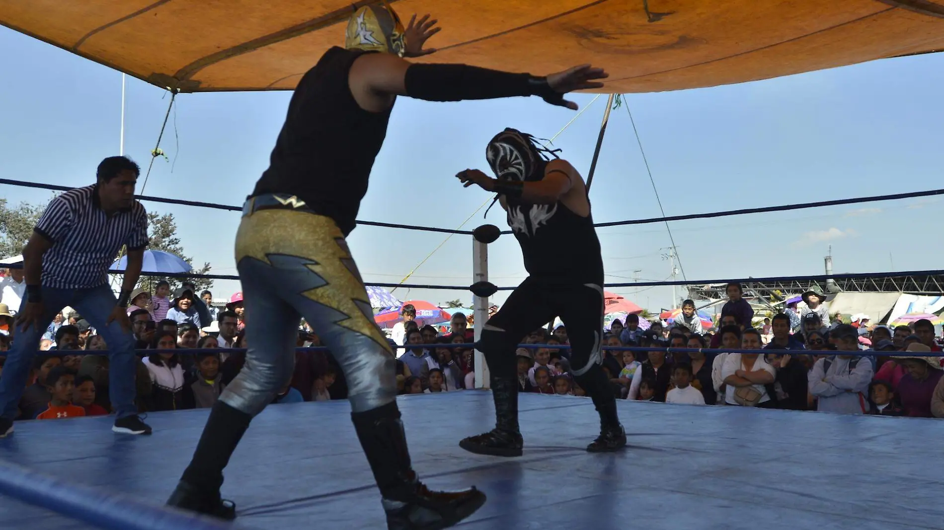 Luchas1