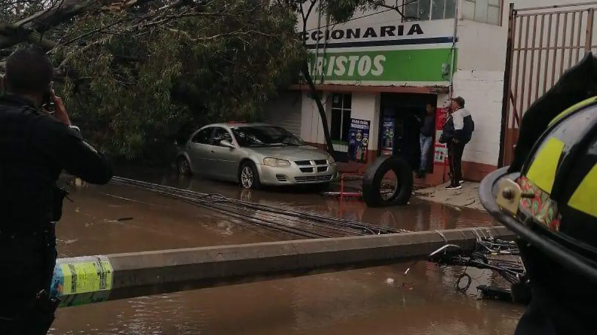 a´rbol