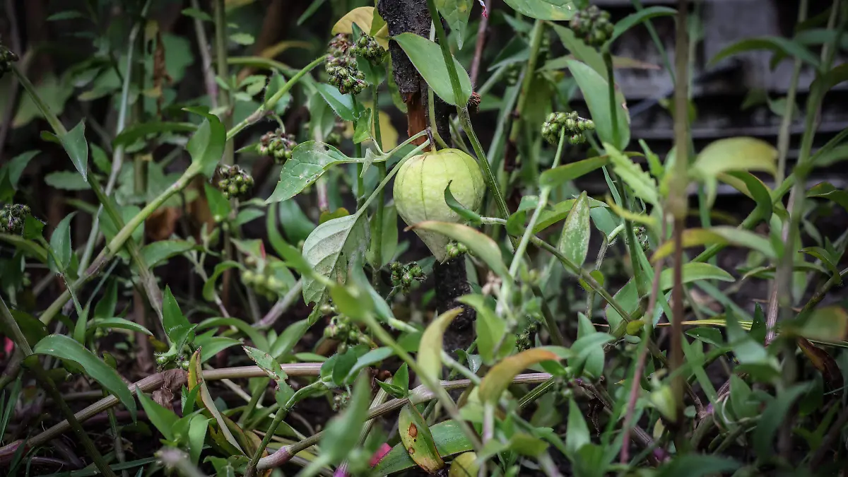 ESPECIAL_CIENCIA (6)