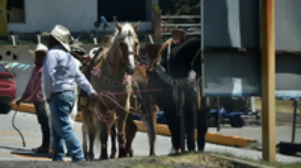 639c4a15-6a4e-42fe-9447-58c399dac88c