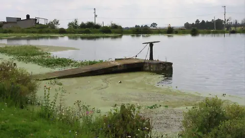 Bordo de la Cañada Almoloya de Juárez 4