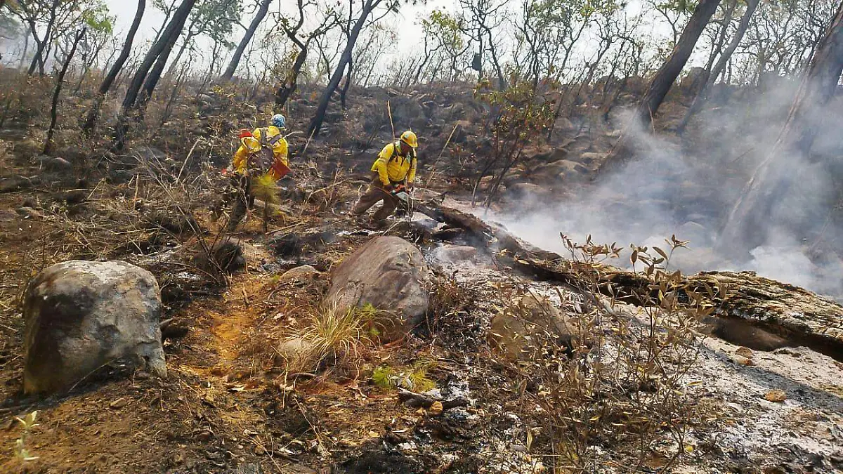 brigadistas incendios edomex
