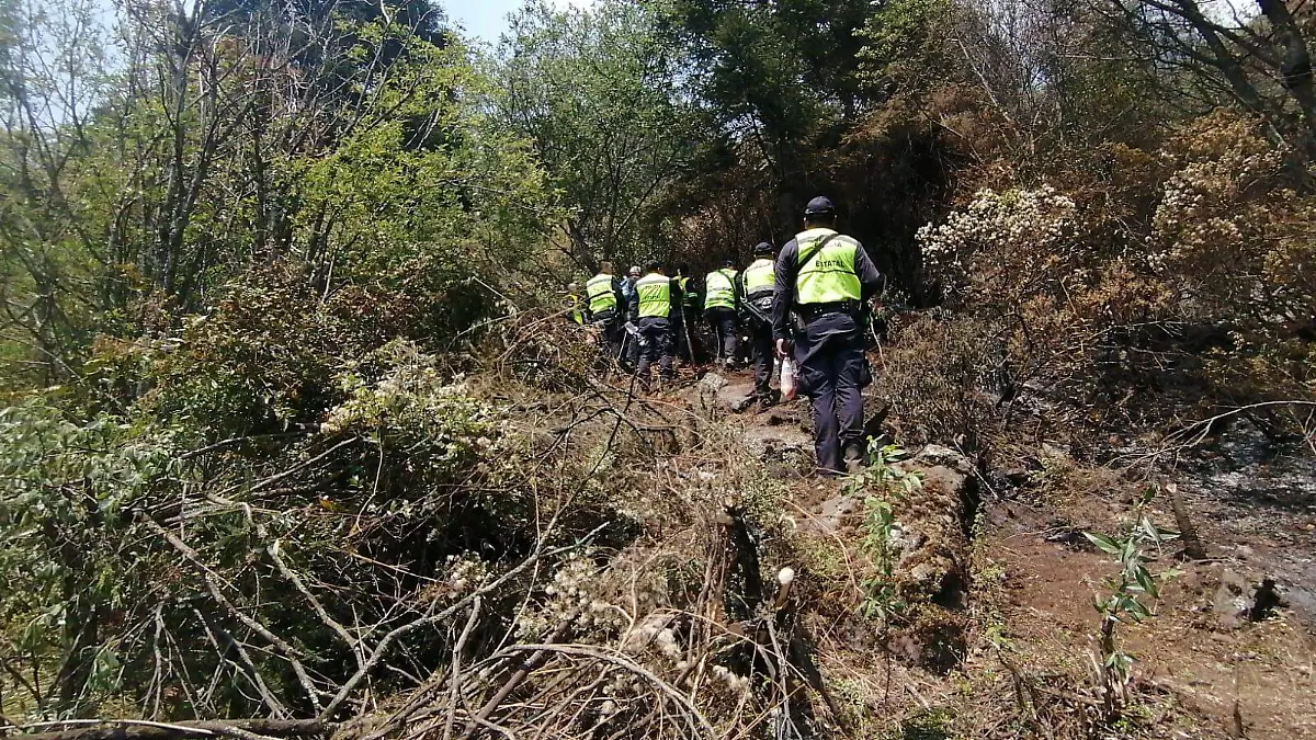 policias incendios 2