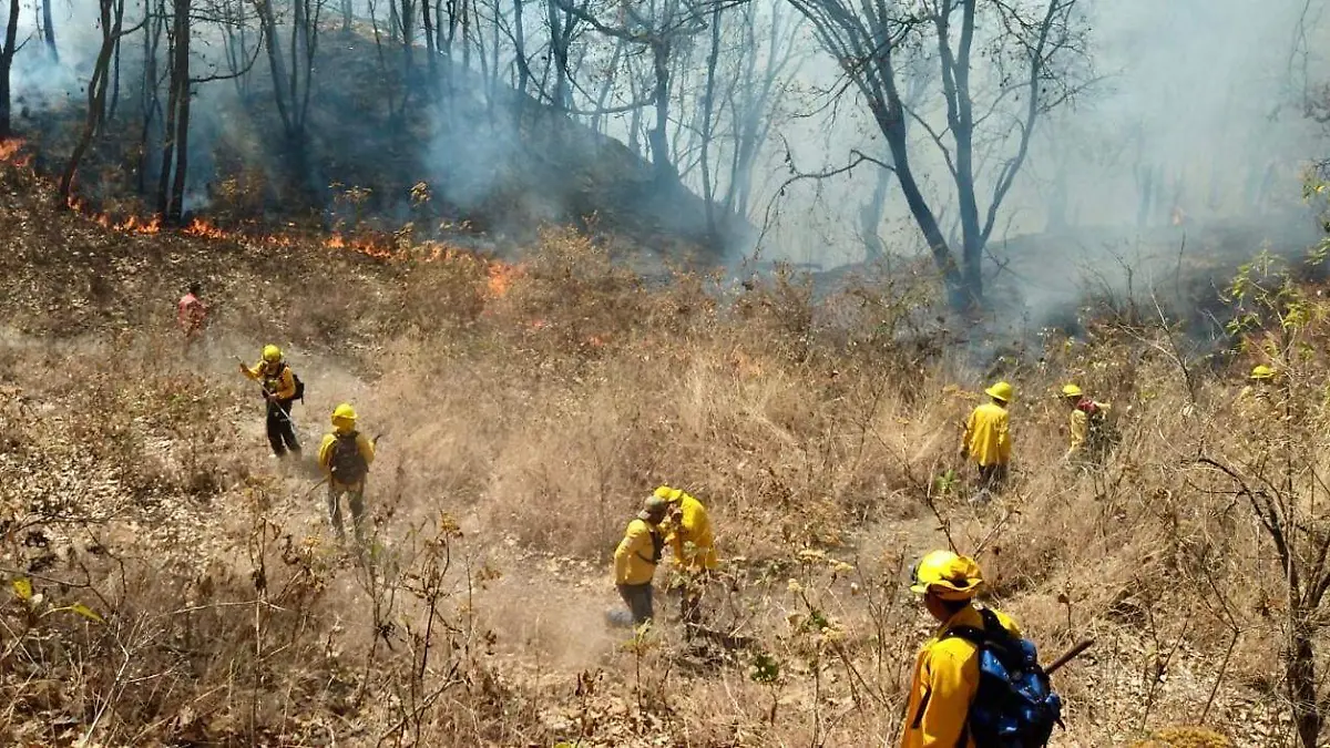 Image 2024-04-20 at 10.13.09 (1)