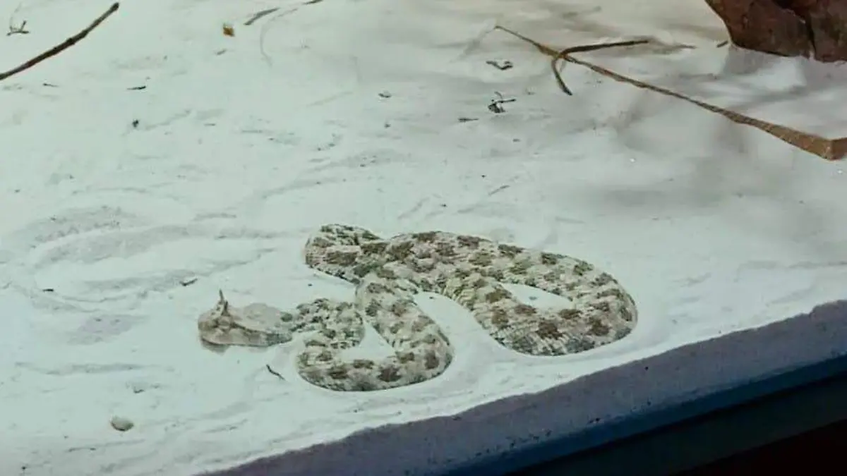 6889ca5b-4a23-4744-9c6a-e9dff6e531e0