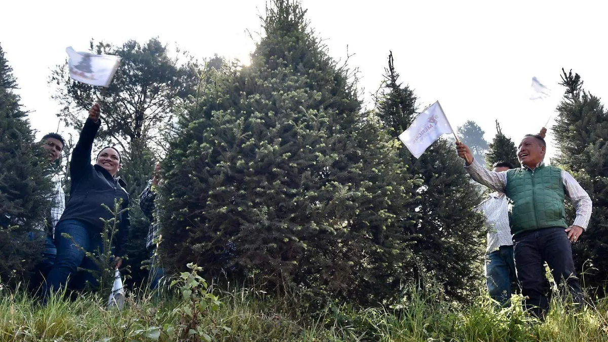 a4d0c850-7194-4a5d-87eb-2c4d4285ae9f