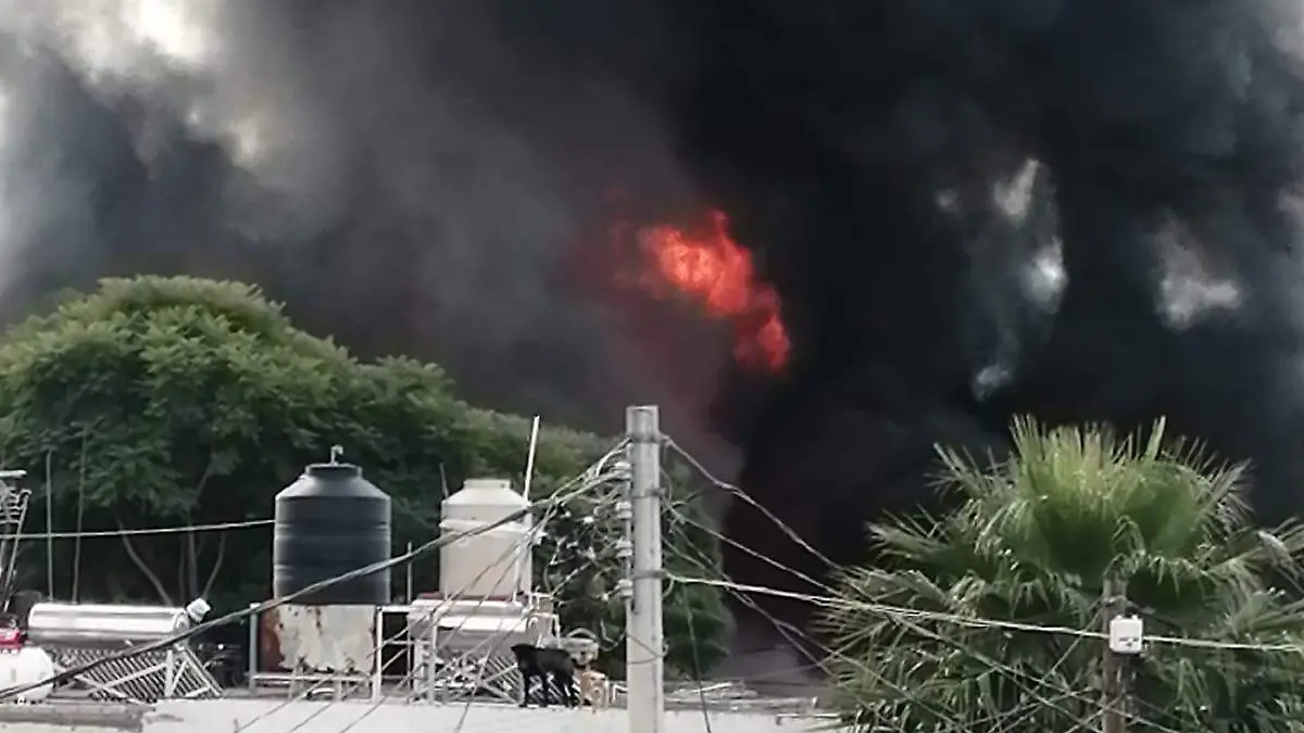 9ac600d5-afa9-4d3c-b329-3f856e850e0b