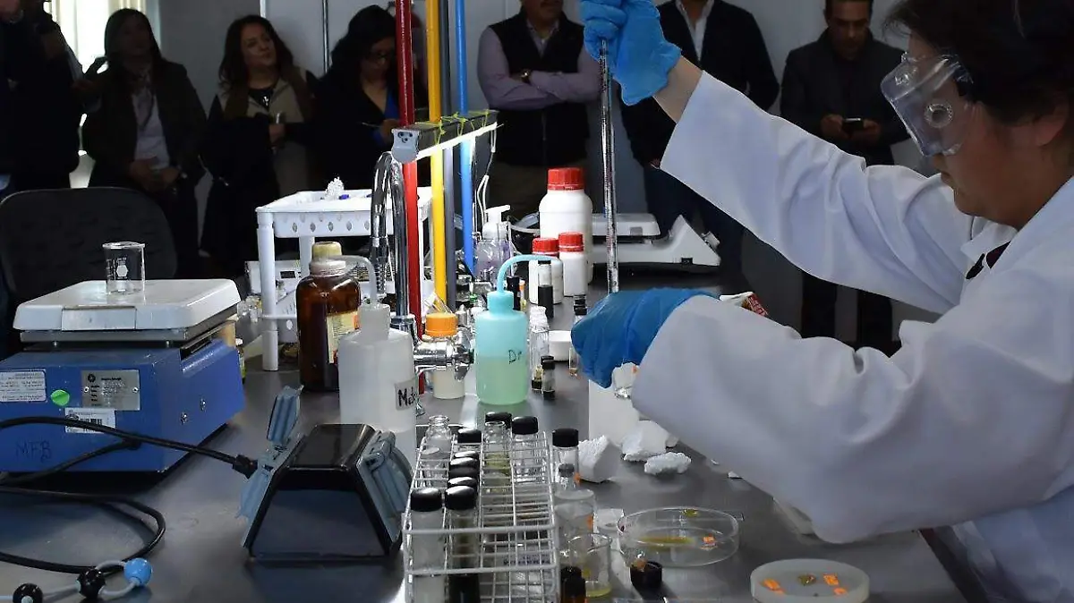 ESPECIAL_CIENCIA_CROMOSOMA_HUMANO_DCV-2
