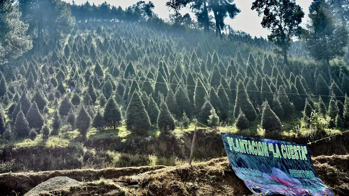 04670725-9561-408e-82cb-1d81b030e199