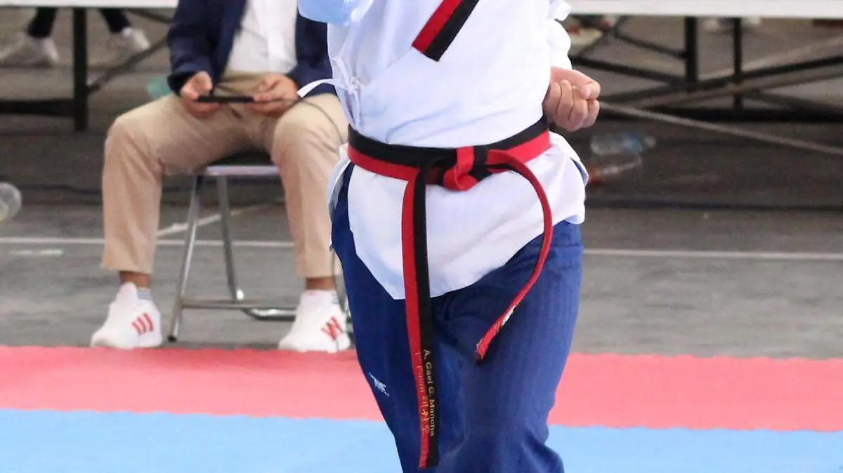 Taekwondo1