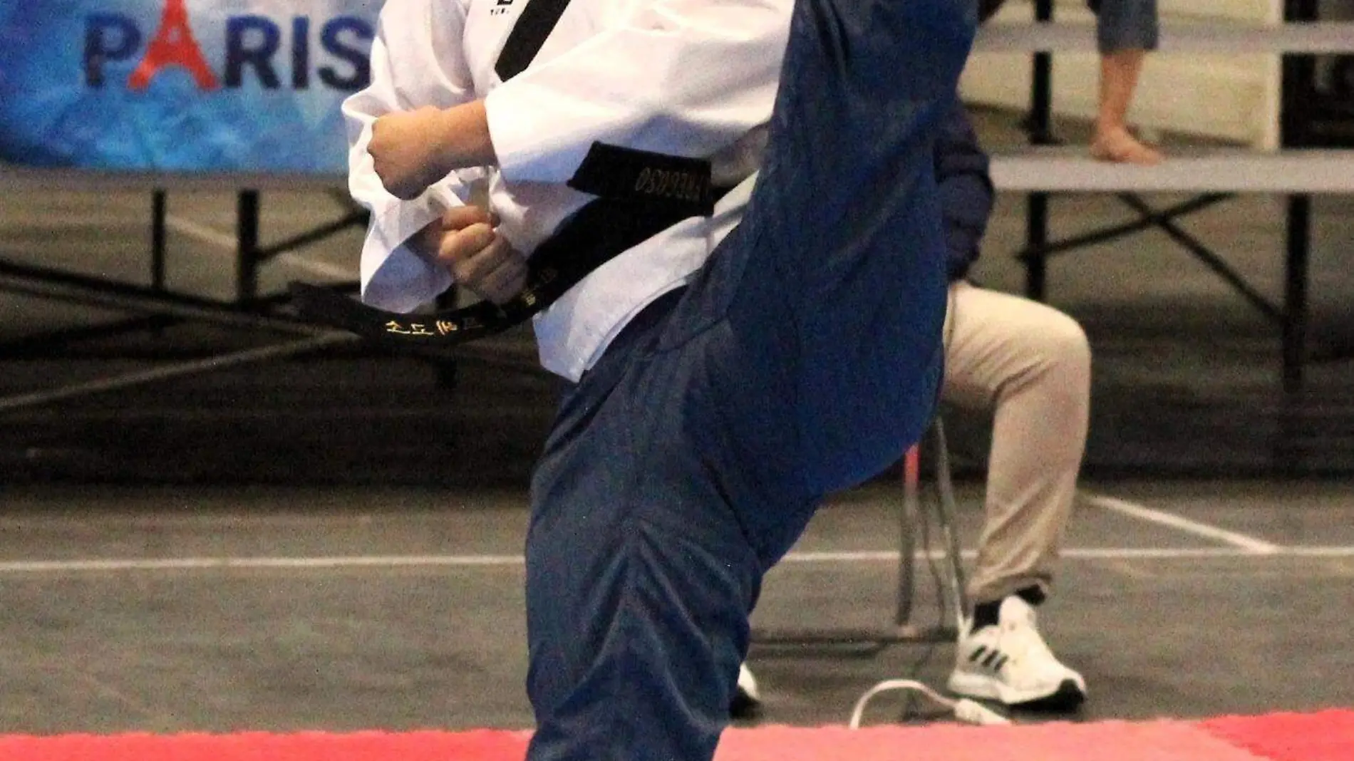 Taekwondo2