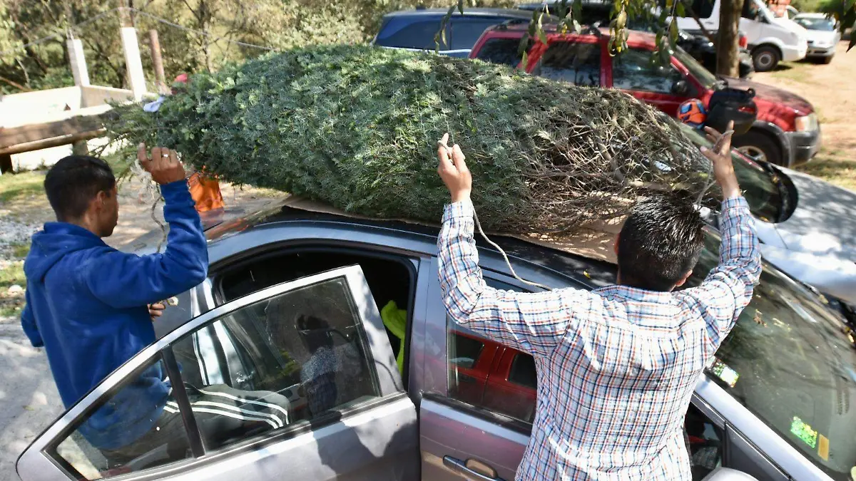 d2d2716c-000d-415a-b6e4-a38479e40ff0