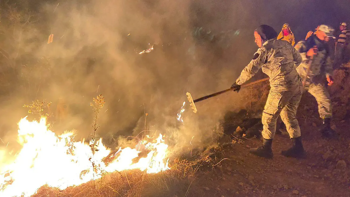 5201101e-4fb4-4b1d-bcd8-154593af8608