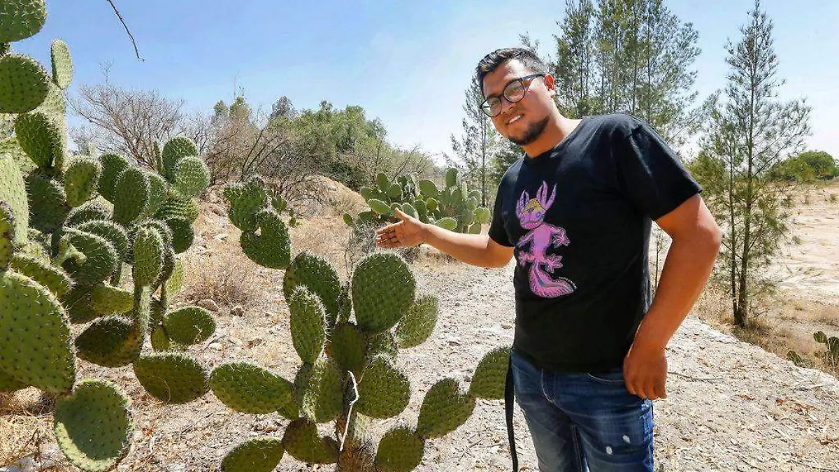 nopal