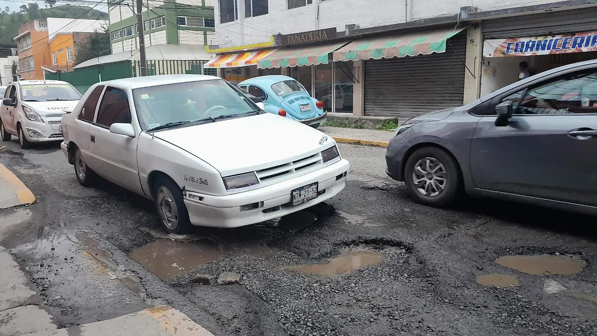 baches nicolas