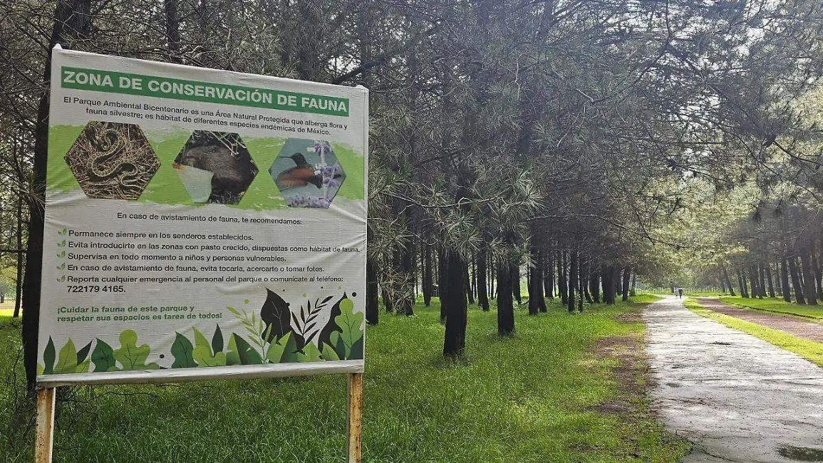 fauna silvestre