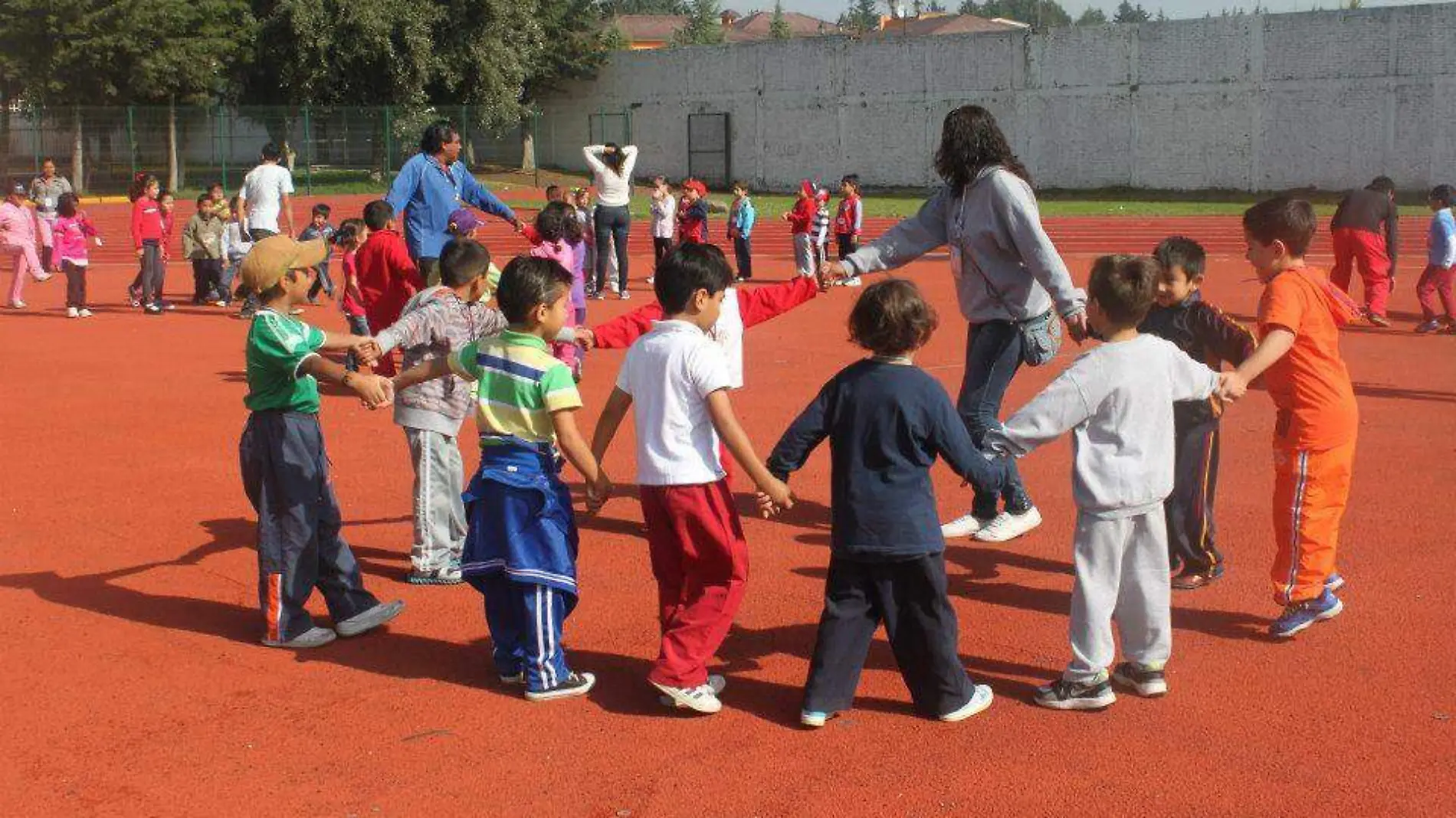 Cursos