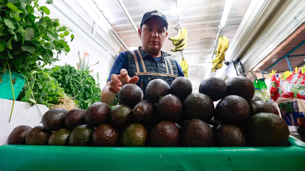 Aguacate 1