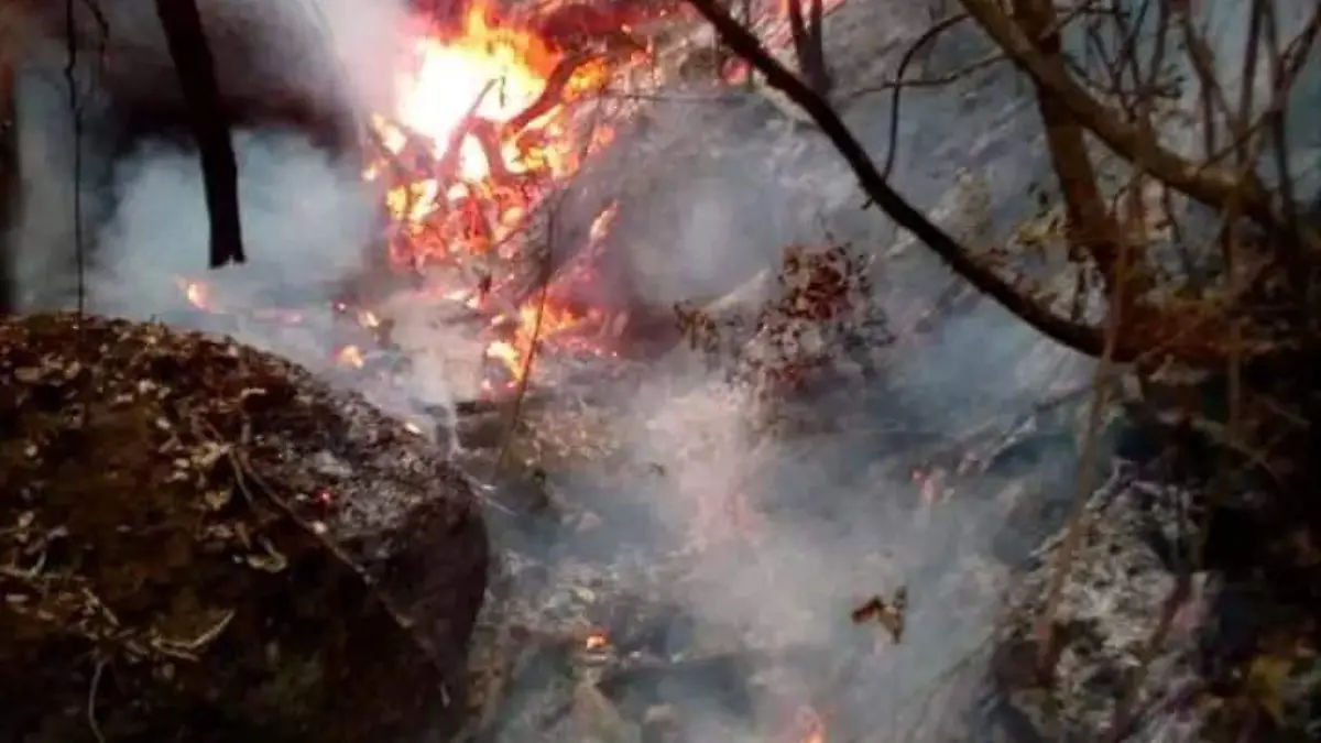 Image 2024-03-24 at 10.46.41 (1)