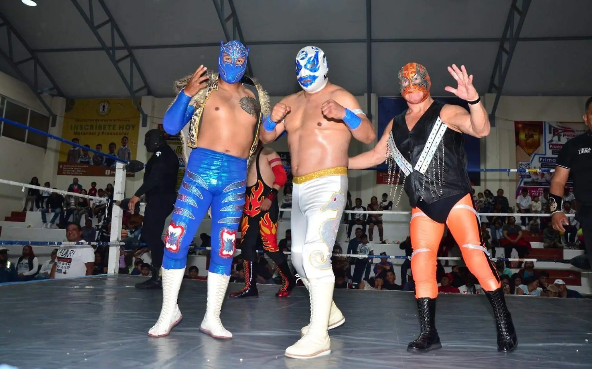 Luchas1