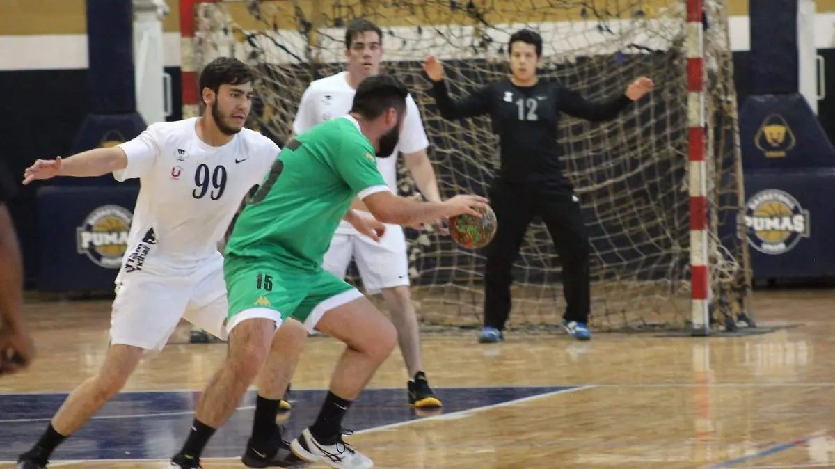 Handball2