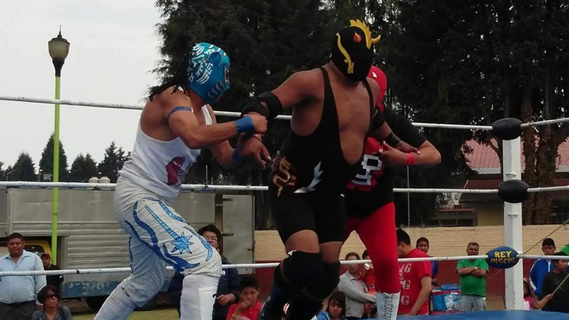 Luchas1