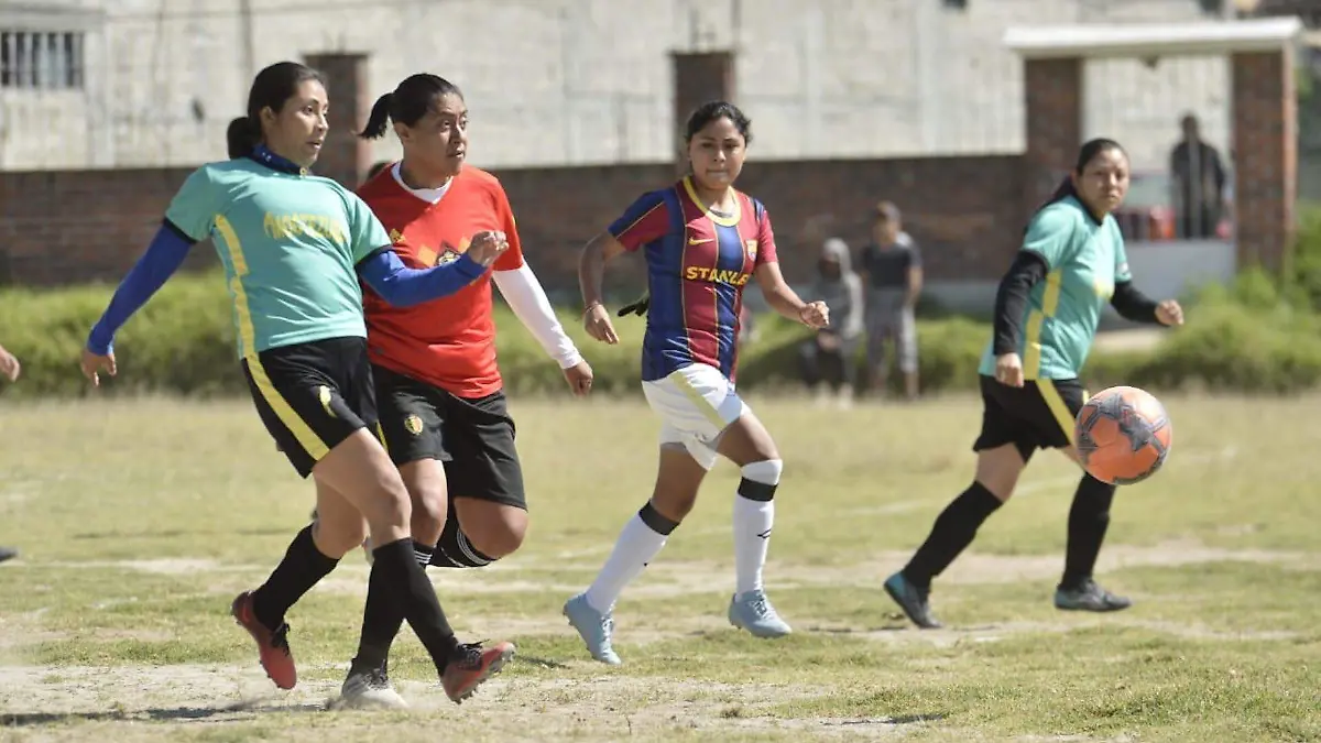 Llanero1
