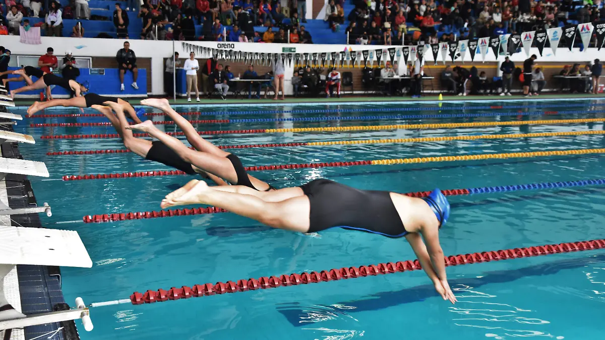 Natacion1