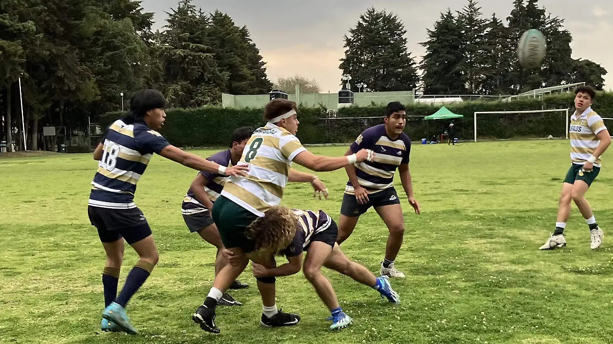 Rugby1