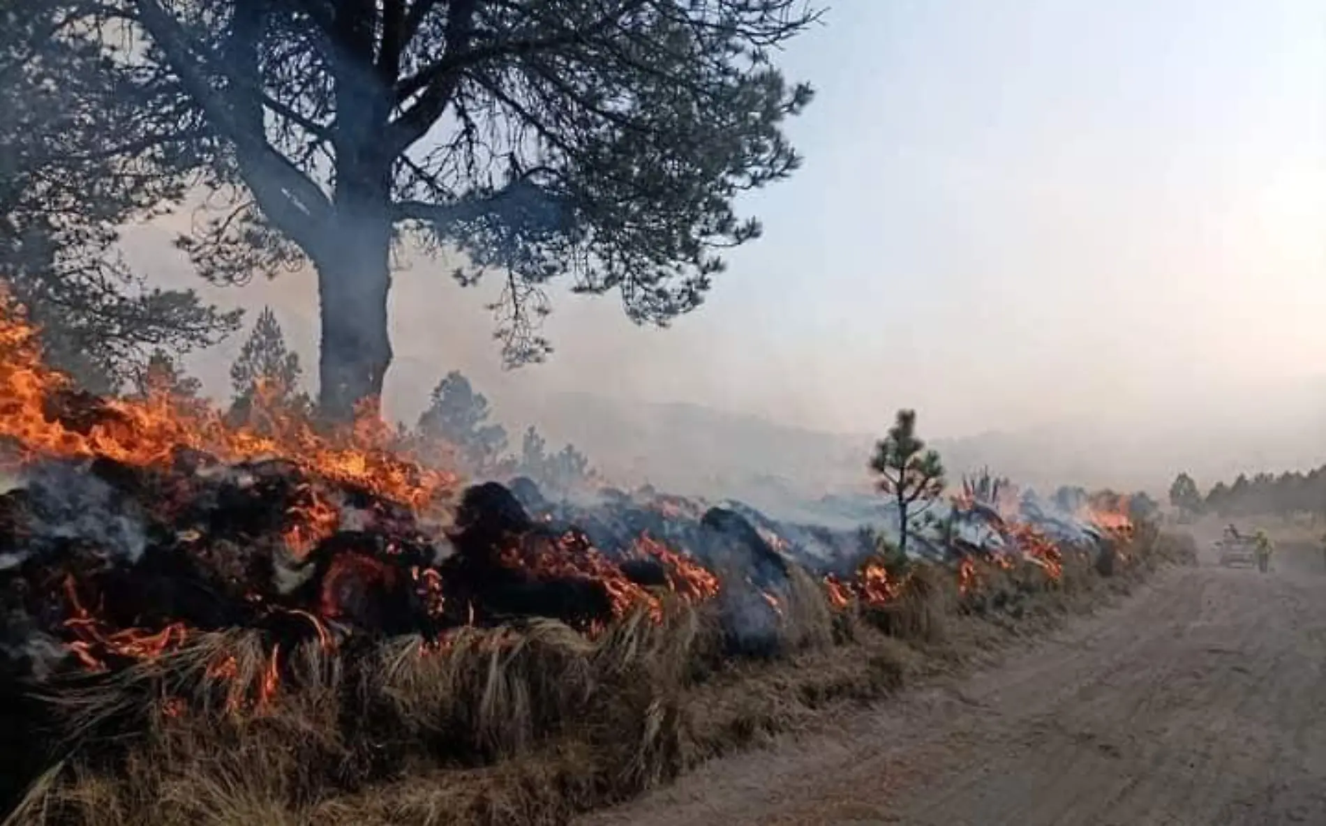 incendios