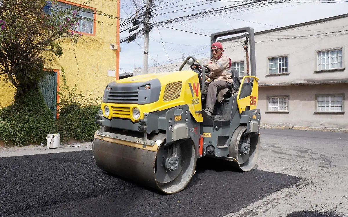 acciones por amor a neza