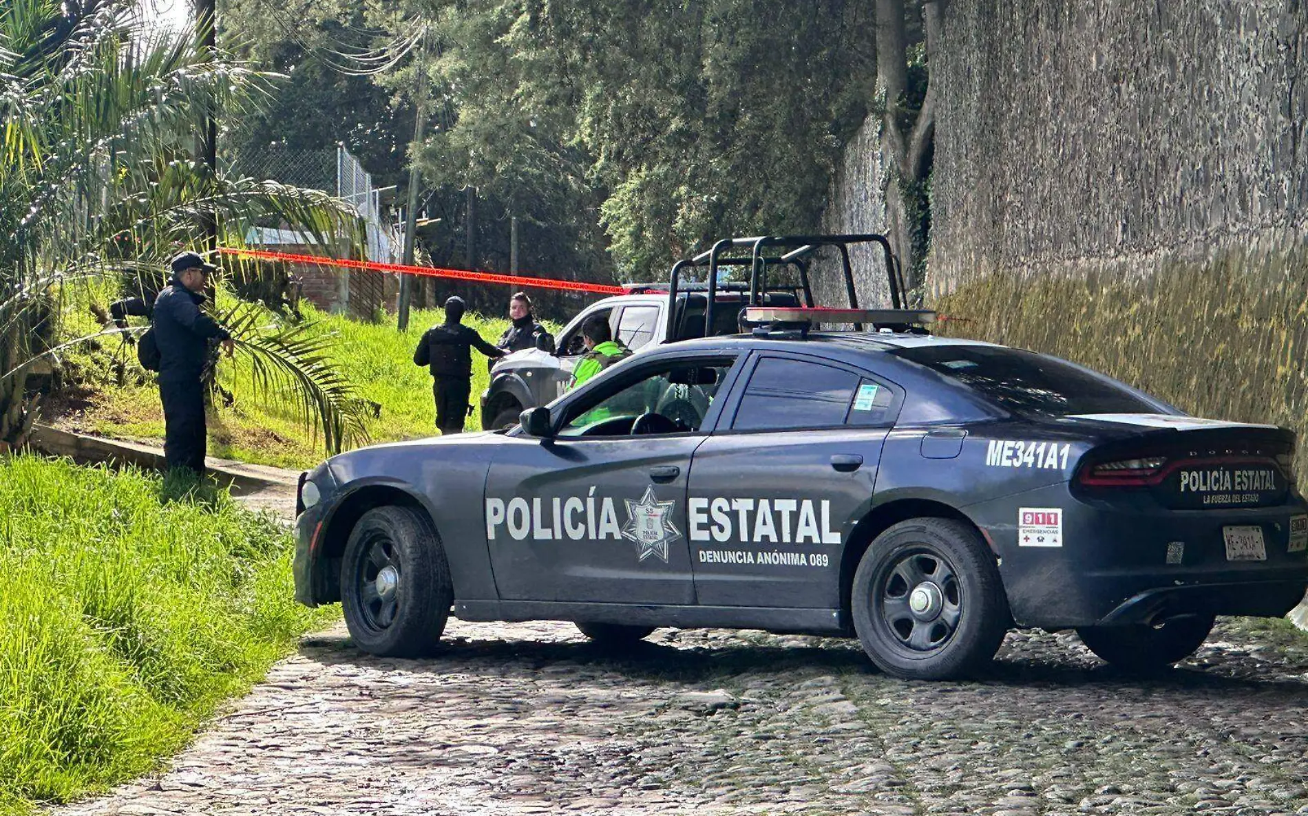 policiaca22