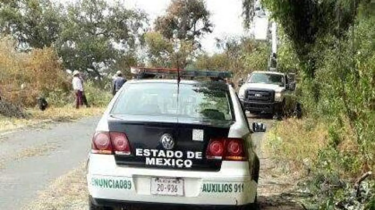árbol