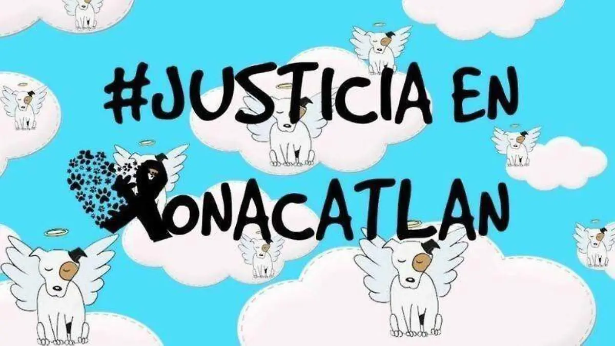 justicia