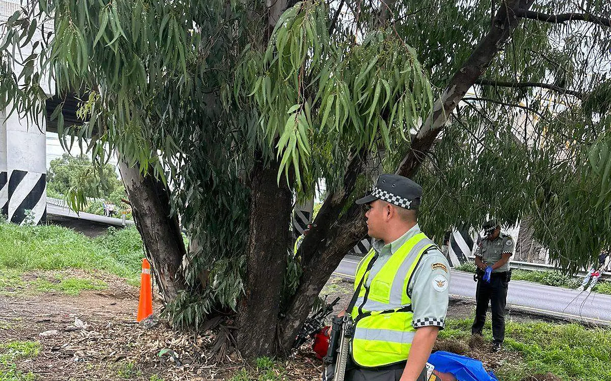 WhatsApp Image 2023-08-16 at 12.33.49