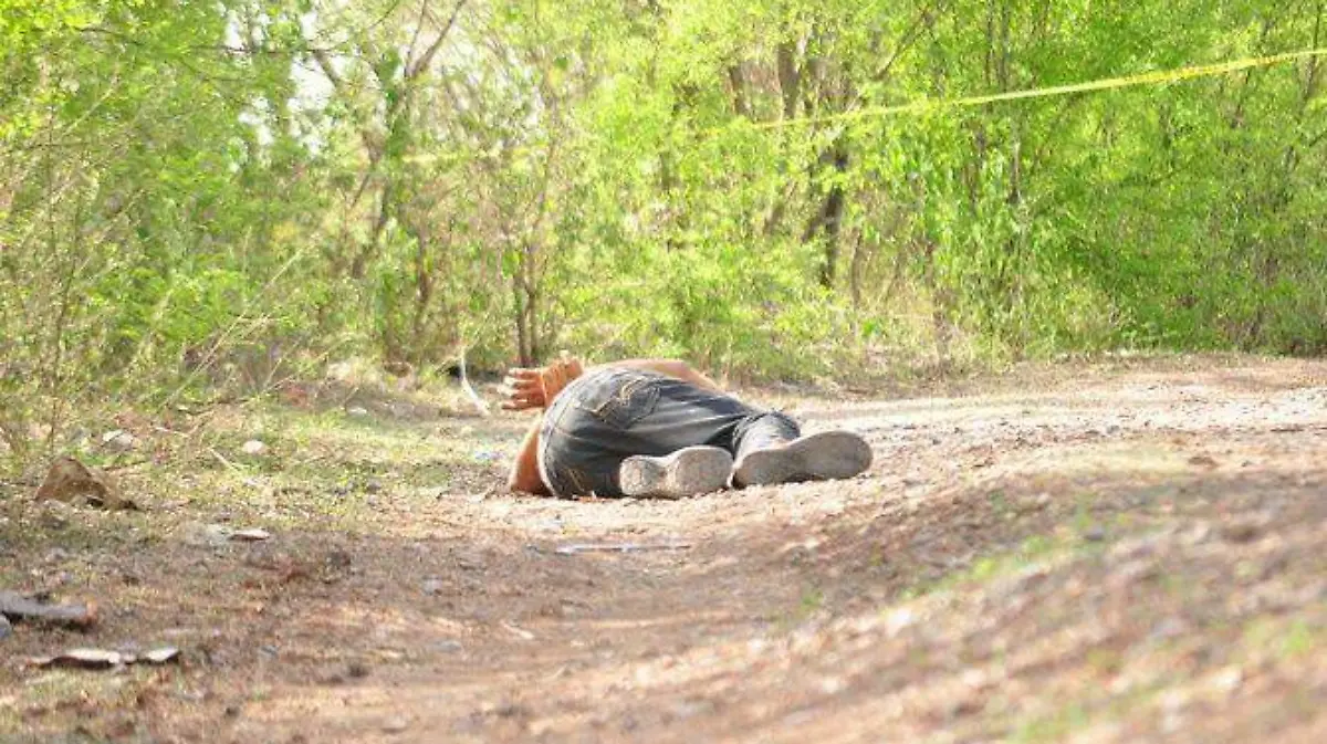 dsc_0160.jpg_791379073