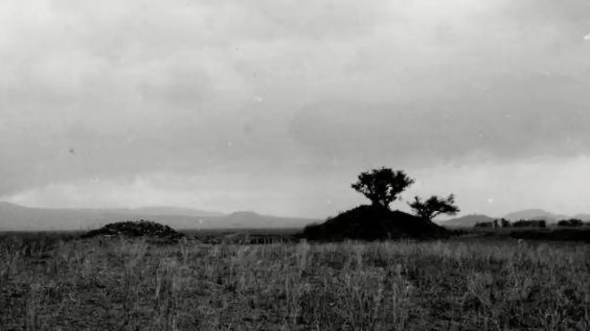 zona arqueolóigica
