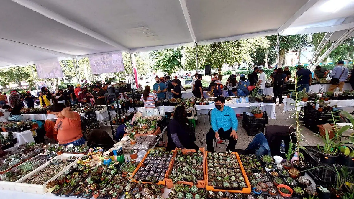 acaa08b4-c7bd-4336-ae19-c7ca2e41bfca