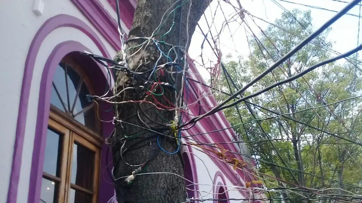 9fa2af78-be99-44d3-aca8-0350fc26b8ef