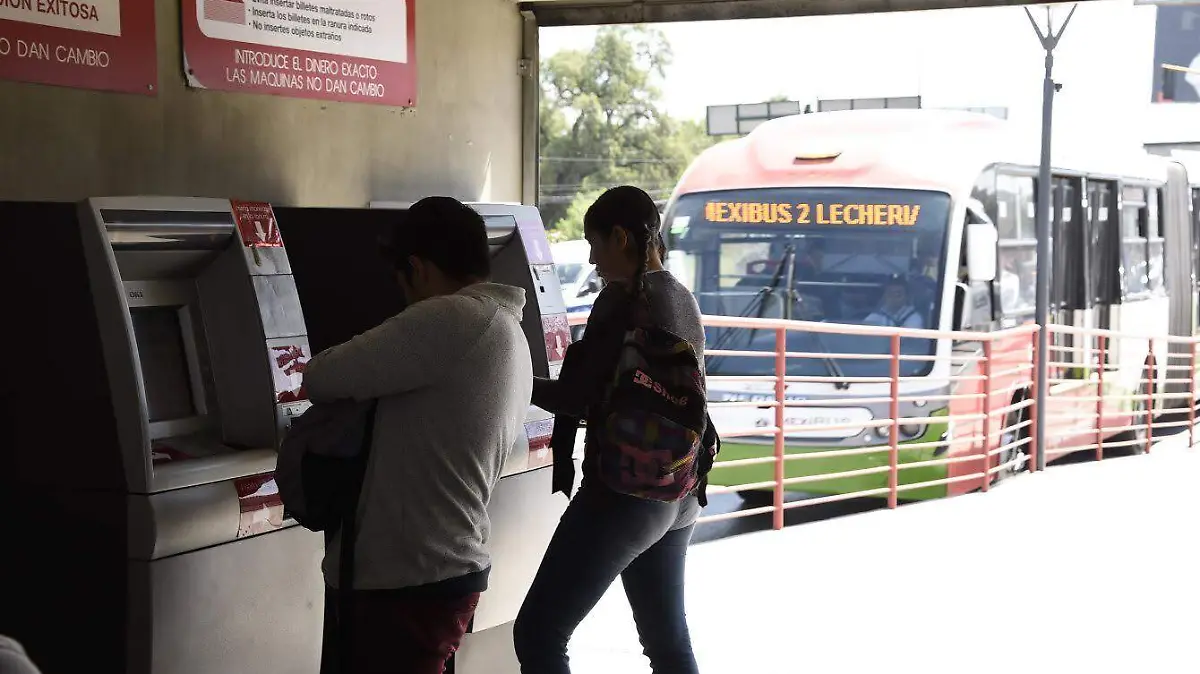 Mexibús (3)