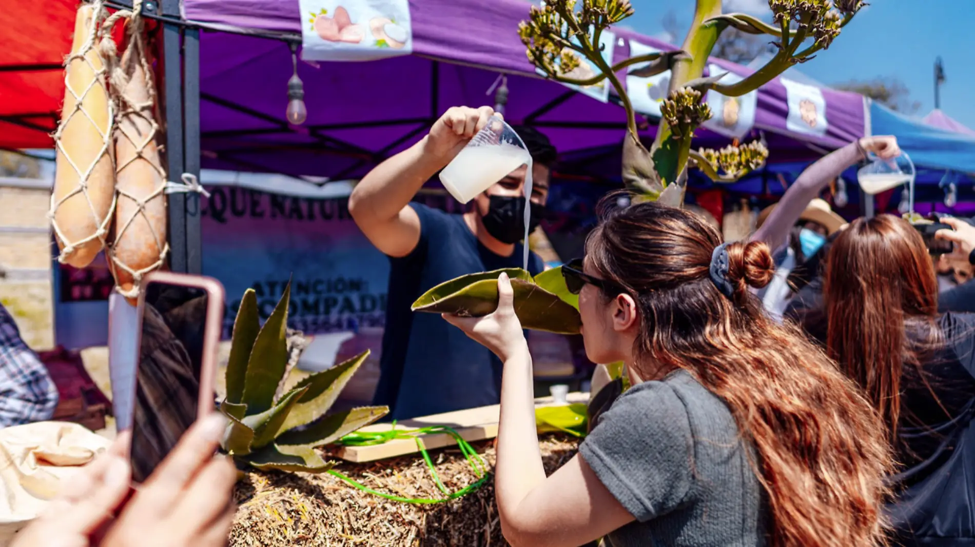 Pulque2